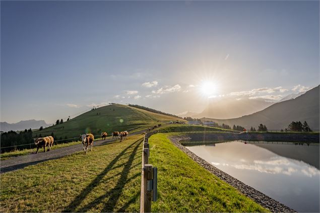 Visite à l'Alpage de Joux
