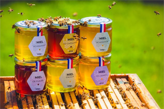 Initiation à la dégustation aux Abeilles de Méllonia_Curtafond - ©Jonathan photographies