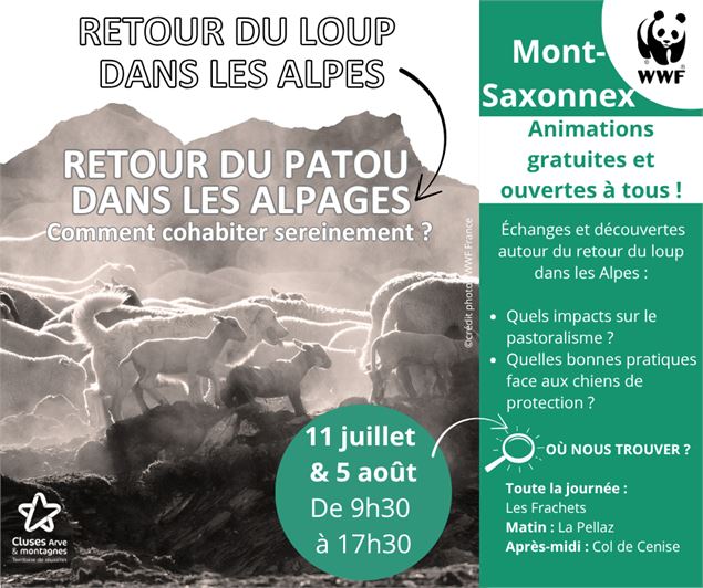 Affiche de l'animation - 2CCAM