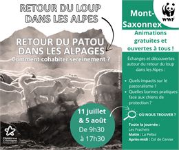 Affiche de l'animation - 2CCAM