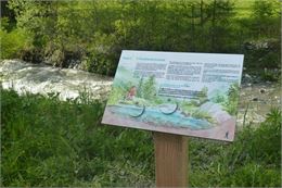 Découverte du sentier "Balade le long du torrent"_Peisey-Nancroix - Isabelle Desse