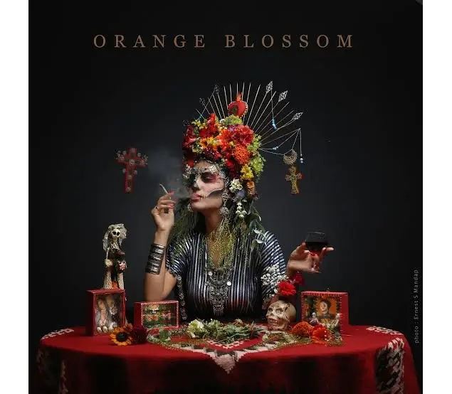 Musique du monde - Orange Blossom_Oyonnax
