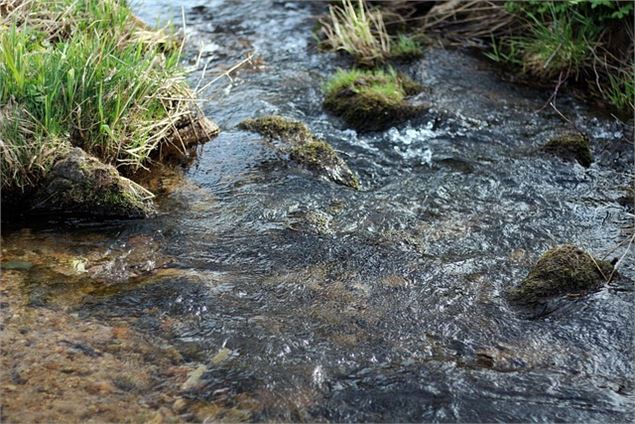 DE L'EAU D'ICI A L'EAU-DE-LA
