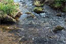 DE L'EAU D'ICI A L'EAU-DE-LA