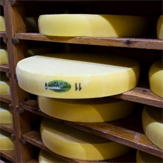 Visite Fruitière AOC Comté 
