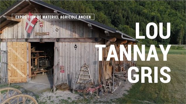 Lou Tannay Gris