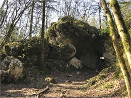 Sur les traces des loups - Magali Parsy