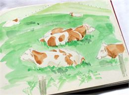 Découverte graphique de la Chartreuse_Les Échelles - Cécile Combaz