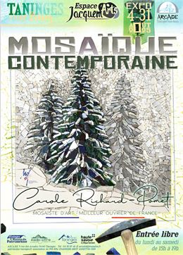 Visuel de l'exposition Carole Richard Pomet - ARCADE