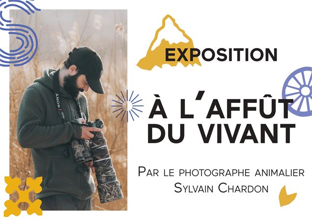 Exposition : A l'affût du vivant_Le Grand-Bornand - Le Grand-Bornand Tourisme