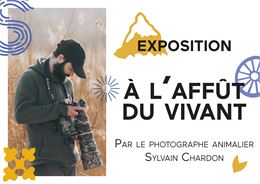 Exposition : A l'affût du vivant_Le Grand-Bornand - Le Grand-Bornand Tourisme