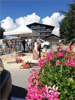 sculture en bois - Office de tourisme de Crest-Voland Cohennoz