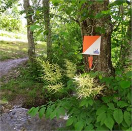 Jeu de piste des Tarines