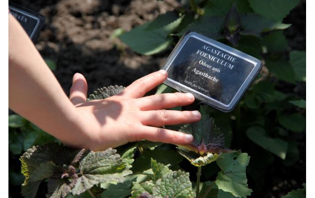 Atelier du petit parfumeur pour enfants - Jardin des Cinq Sens Yvoire