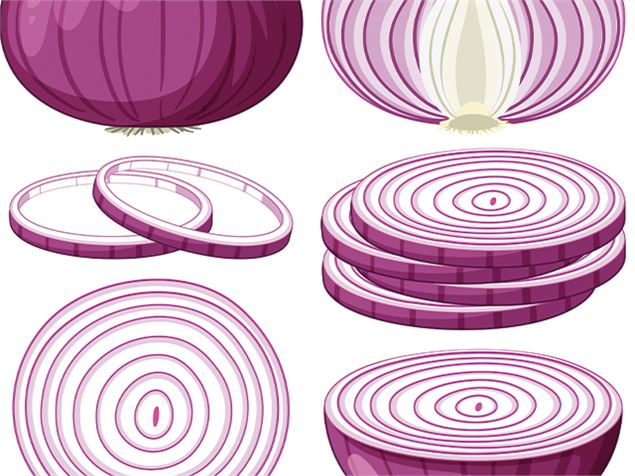 Conférence : Identités : La théorie de l'oignon... pour faire une bonne soupe !_Albertville