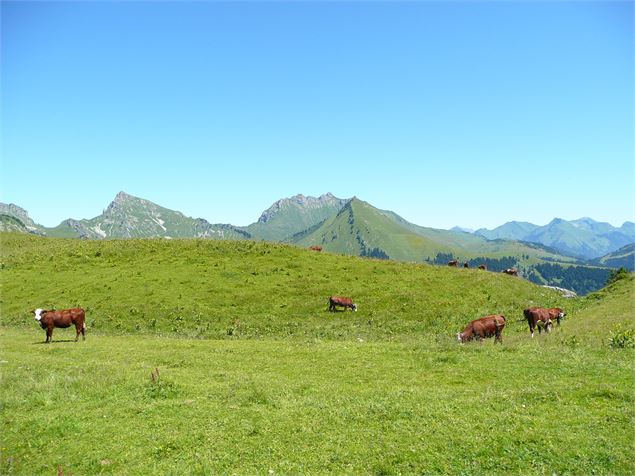 Jambon au foin - Praz de Lys Sommand Tourisme