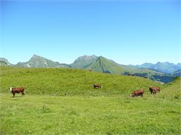 Jambon au foin - Praz de Lys Sommand Tourisme