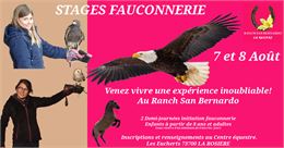 Stage de fauconnerie – Centre équestre_La Rosière - Montvalezan