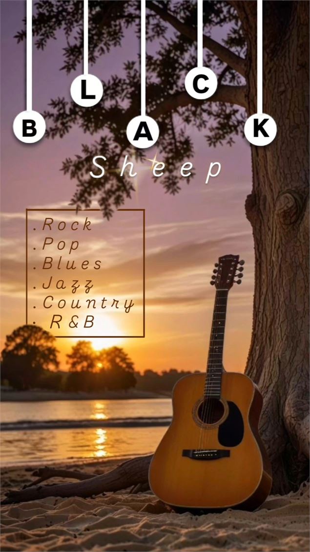 Concert de musiques actuelles : Black Sheep_Saint-Jorioz - Eliott Pelletier