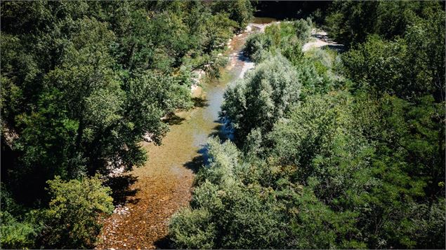 Au fil de la rivière_Vallières-sur-Fier - Peignée Verticale-A.tardy