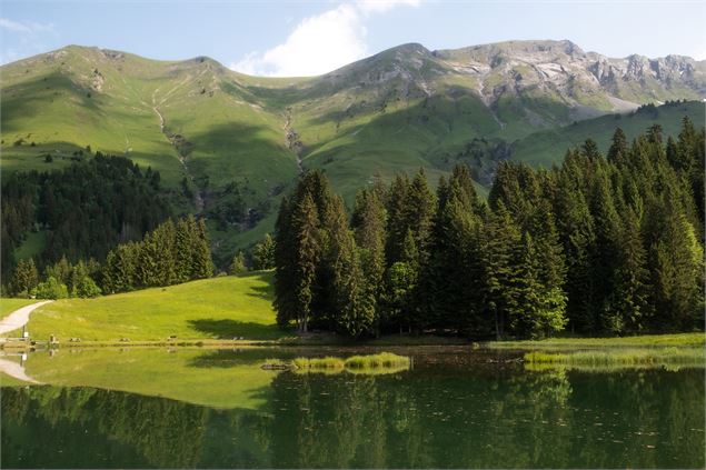 Atelier créatif : Montagne d'été_Morzine - OT Morzine