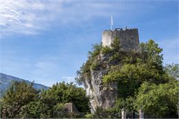 Tour des comtes de Genève - Gilles Bertrand