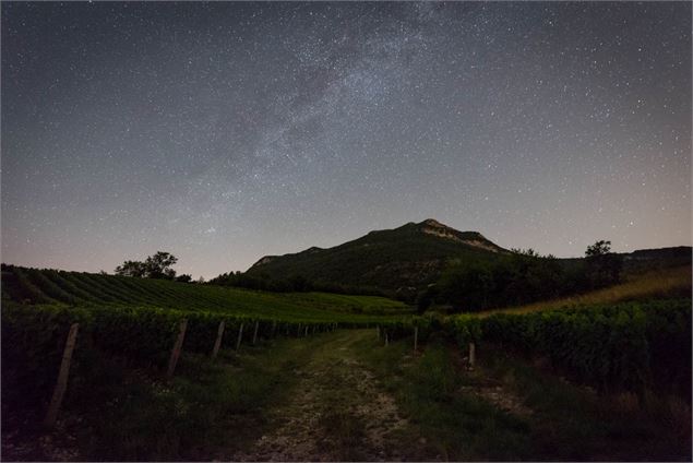 A la croisée des vins et des étoiles_ - Emmanuel Dutordoire