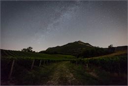 A la croisée des vins et des étoiles_ - Emmanuel Dutordoire