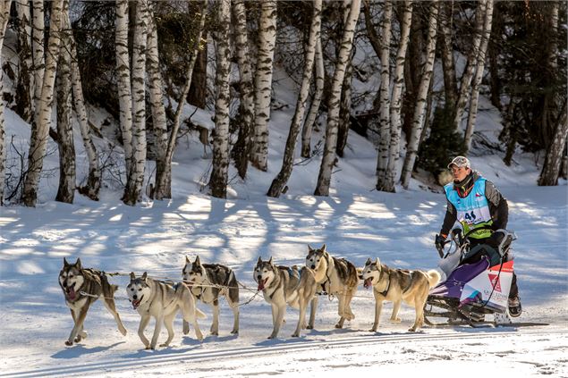 La Grande odyssée - Vincent Piccerelle
