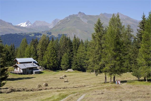 Randonnée culturelle : Courbaton & la forêt de Malgovert_Les Arcs - ABT