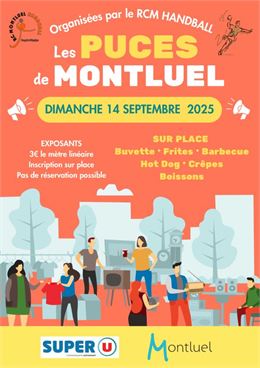 Puces du RCM Handball_Montluel - RCM Handball
