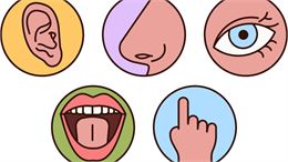 MuséoLab - "Le pouvoir des sens"_Bourg-en-Bresse - Canva