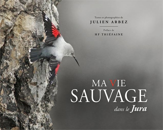 photo - ©Julien arbez
