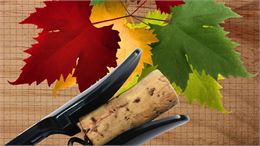 Foire aux Vins_Versonnex