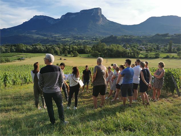 Visite du vignoble et dégustation au Domaine des Granges Longes_Porte-de-Savoie