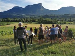 Visite du vignoble et dégustation au Domaine des Granges Longes_Porte-de-Savoie