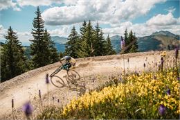 Bikepark - Tim Arnold