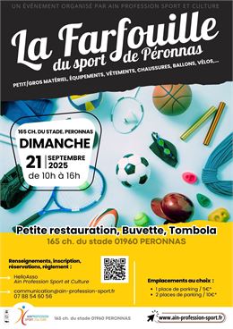 Affiche Farfouille - AIN PROFESSION SPORT ET CULTURE - Béatrice Besset