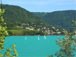 Nettoyons le lac de Nantua ! - NQuesney