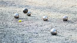 Festi'Boules_Sales