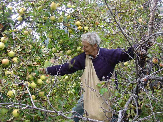 Conférence du jeudi : fruits et arboriculture dans la Savoie ancienne : l'économie de verger_Albertv
