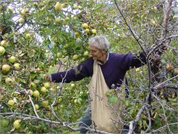 Conférence du jeudi : fruits et arboriculture dans la Savoie ancienne : l'économie de verger_Albertv