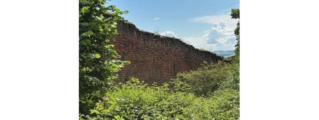 Les remparts de Trévoux_Trévoux - Lion's club