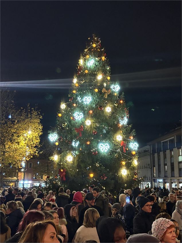 Illumination du sapin de Noël_Bonneville - OTFG
