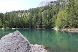 Lecture de paysage au Lac vert - Mairie Passy