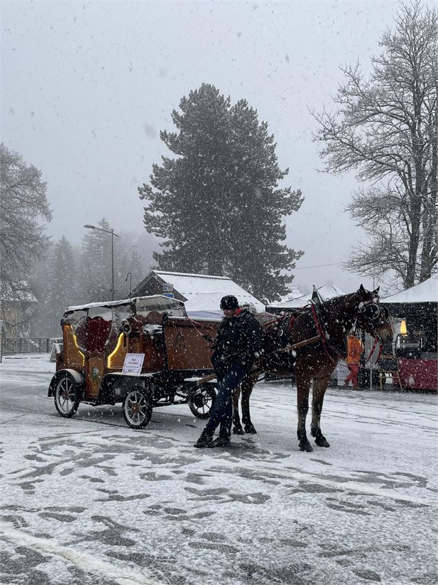 Noël sur un Plateau_Passy