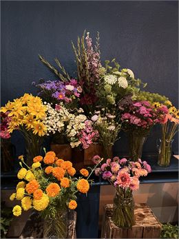 Atelier terrarium eco-responsable + apéritif - Coquelicot