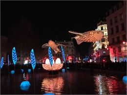 Fête des lumières à Lyon_Aiton - Fête des lumières à Lyon_Aiton