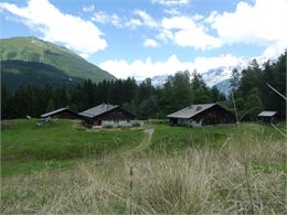 Visite commentée : Les chalets d'alpages_Les Houches - Sophie Persyn