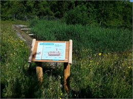 Station d'épuration à macrophytes - CISALB